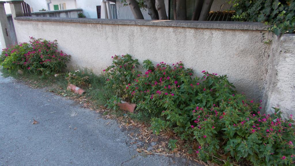 Guest House Accommodation Rupine プレマントゥーラ エクステリア 写真