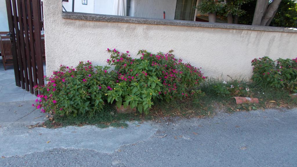 Guest House Accommodation Rupine プレマントゥーラ エクステリア 写真