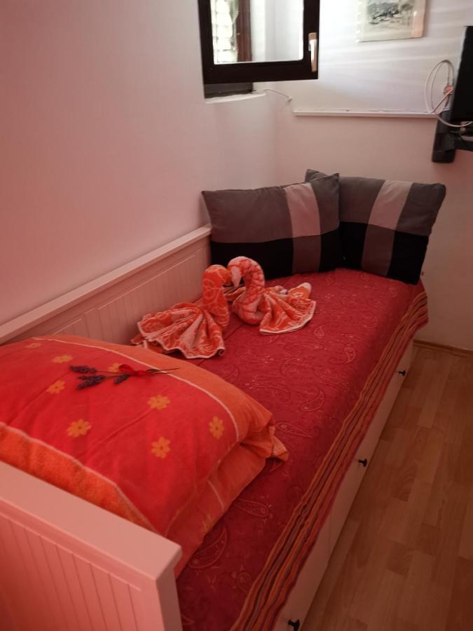 Guest House Accommodation Rupine プレマントゥーラ エクステリア 写真